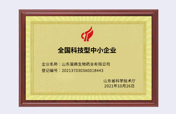 全国科技型中小企业