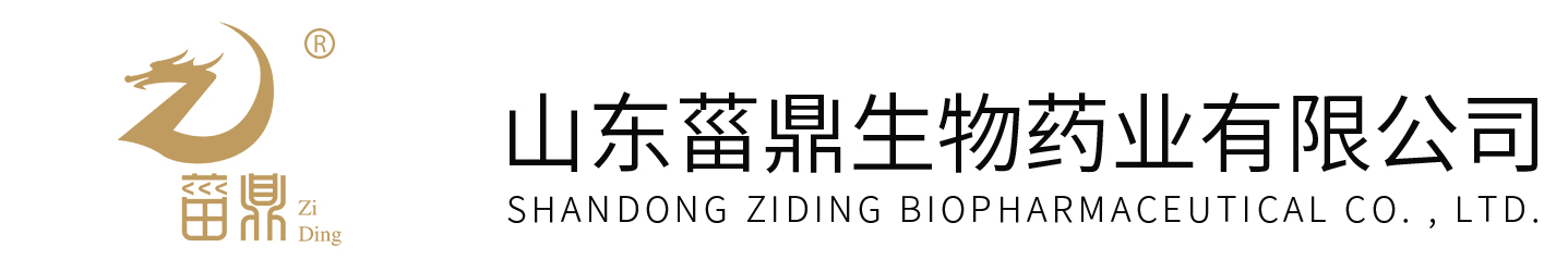 开yun体育官网入口登录app下载